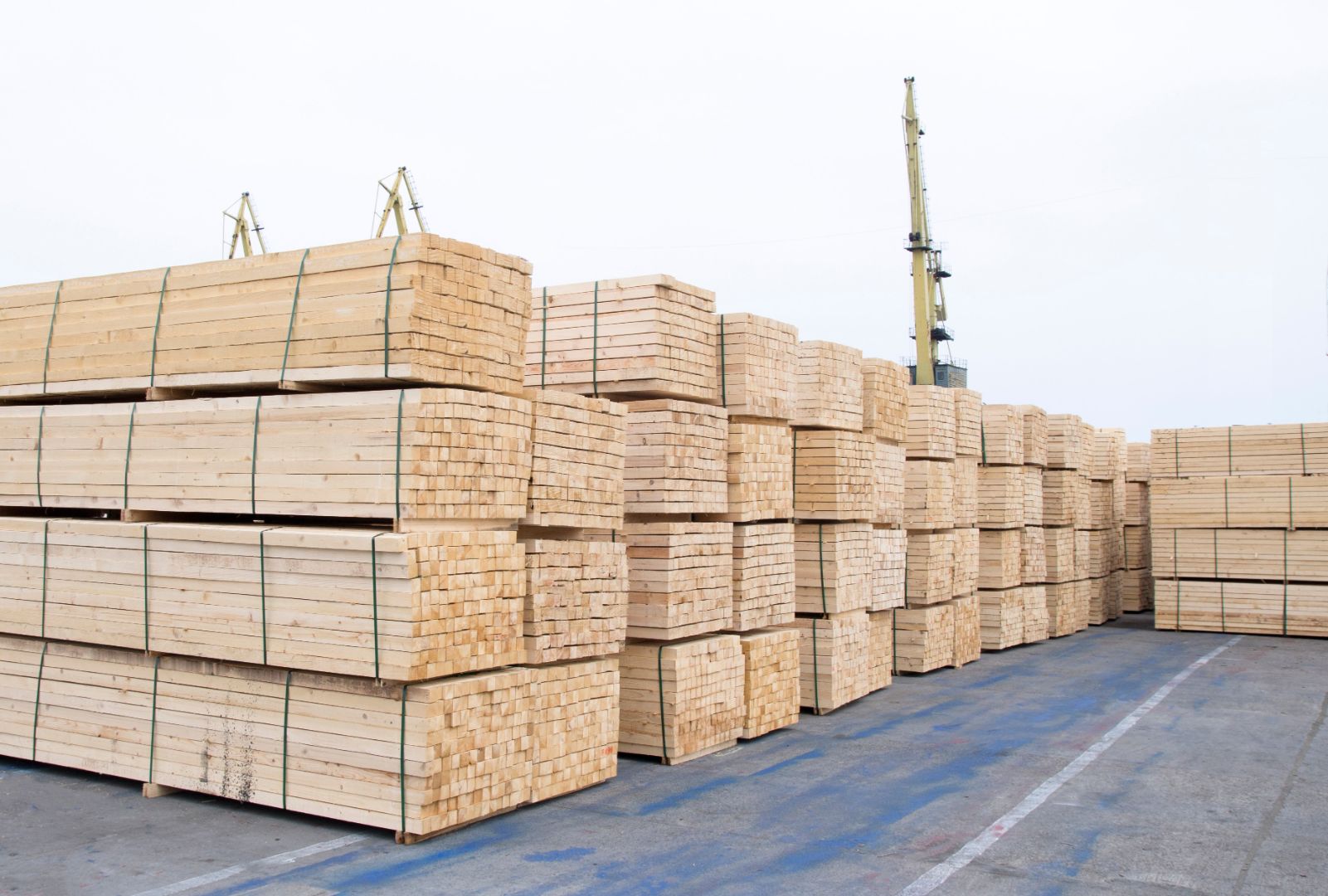 ПИЛОМАТЕРИАЛЫ КАМЕРНОЙ СУШКИ