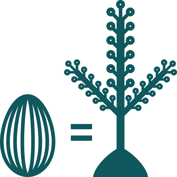 3.png 3.png